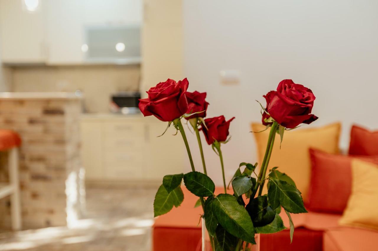 Bobana Apartments Donji Morinj Εξωτερικό φωτογραφία